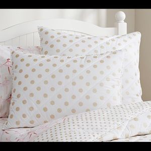 Pottery Barn Kids Gold Polka Dot Euro Shams